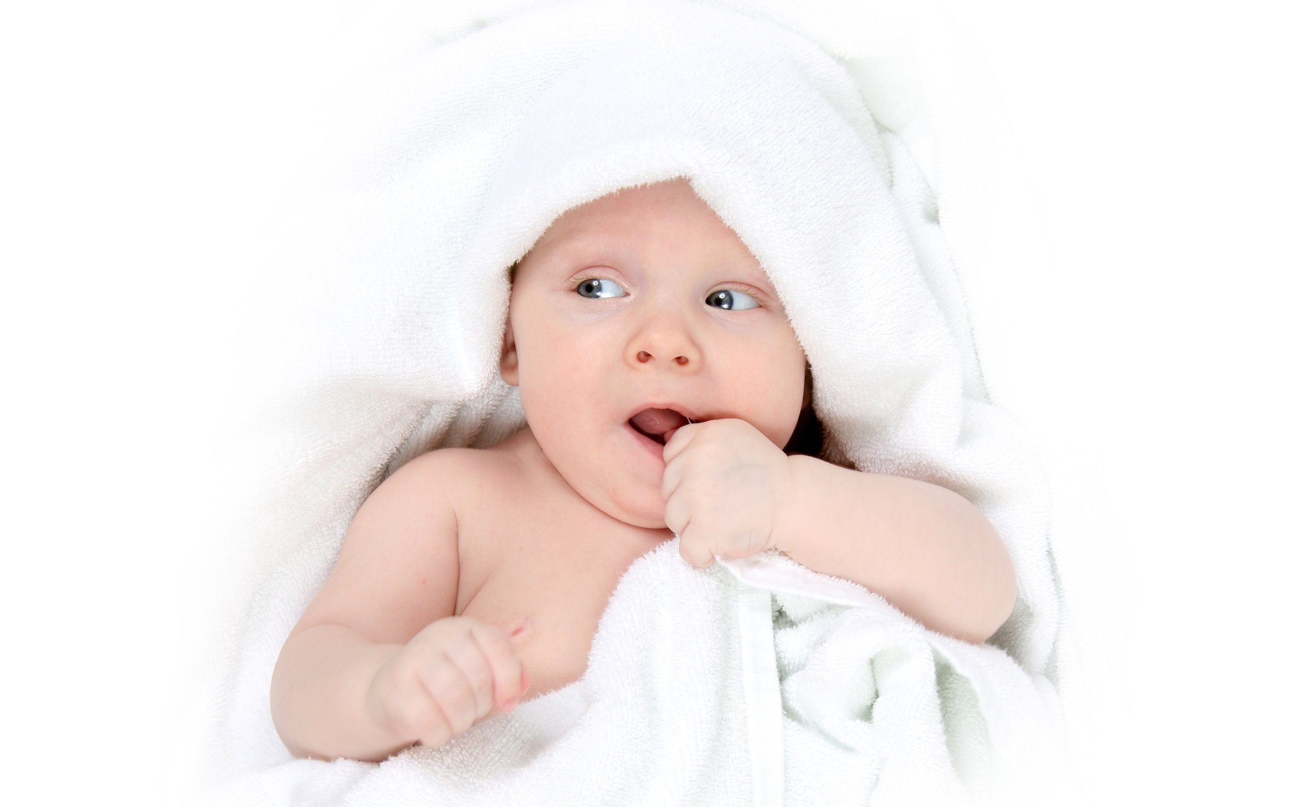 阜阳供卵联系方式人工授精和试管婴儿的成功率
